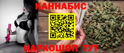 стафф Донской