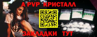 стафф Донской