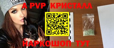 стафф Донецк