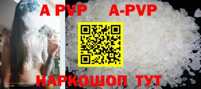 стафф Донской