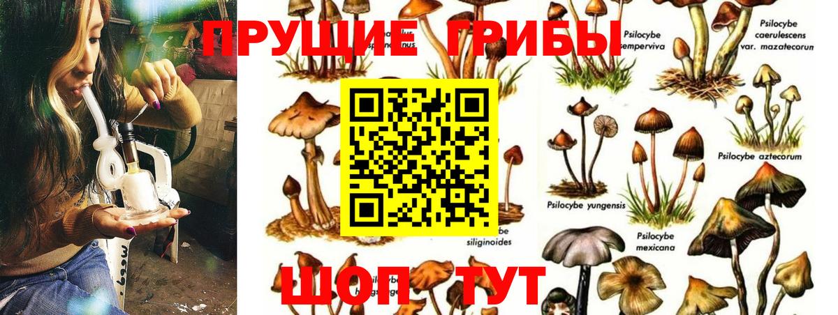 Галлюциногенные грибы ЛСД  как найти наркотики  Нерюнгри  Вход с VPN 