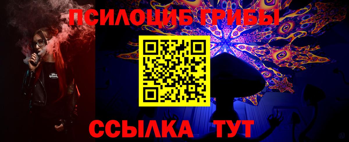 Галлюциногенные грибы Psilocybine cubensis Нерюнгри